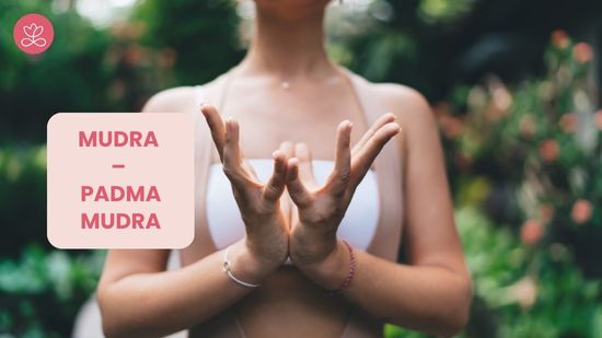 Jour 23. Mudra – Padma mudra avec Stéphanie Rougié